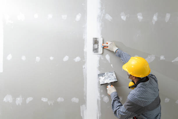 Best Mold Removal for HVAC Installations  in Mullica Hill, NJ