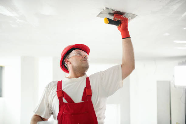 Trusted Mullica Hill, NJ Mold Removal Experts