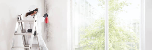 Best Mold Remediation for Healthcare Facilities  in Mullica Hill, NJ