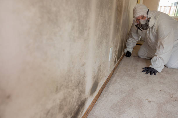 Best Crawl Space Mold Remediation  in Mullica Hill, NJ